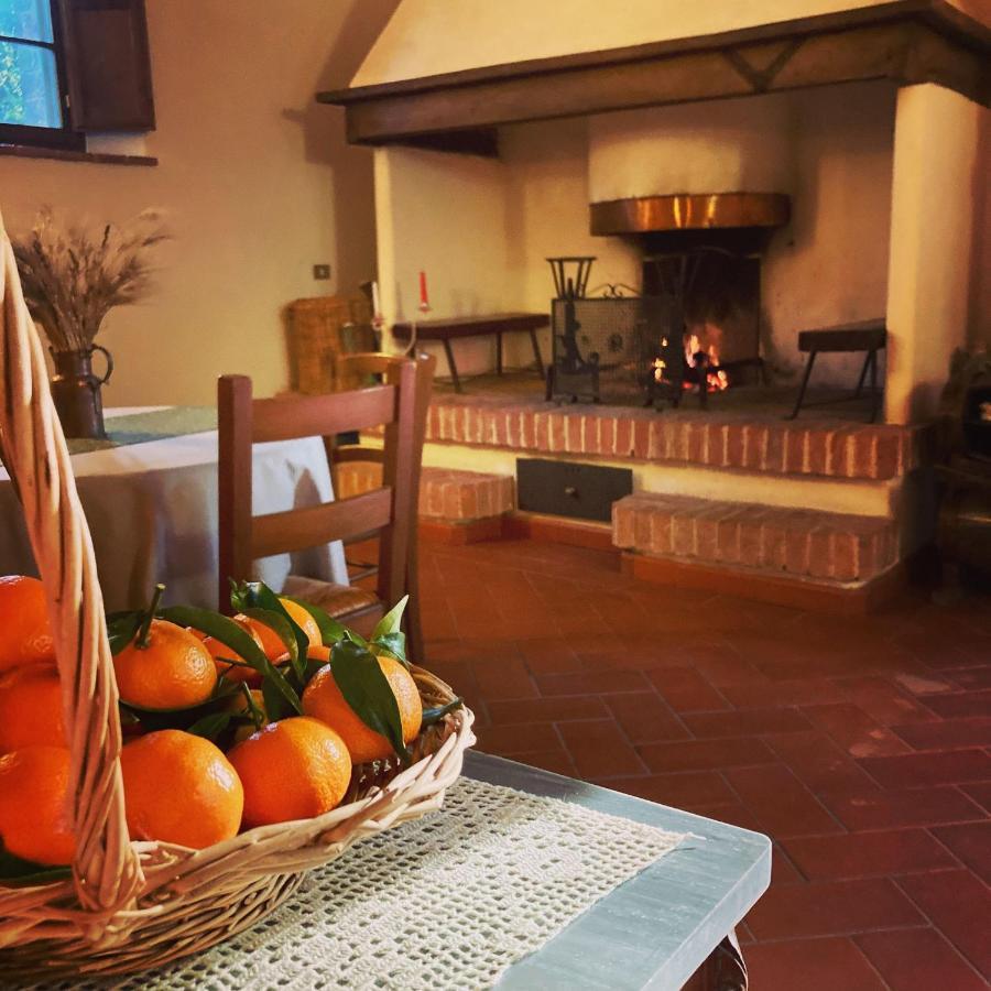 Podere La Chiusella B&B Rapolano Terme Exterior foto