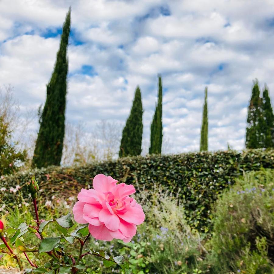 Podere La Chiusella B&B Rapolano Terme Exterior foto